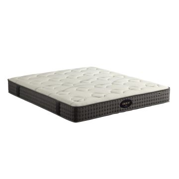 Environmental friendly coconut substitutes cotton mattress