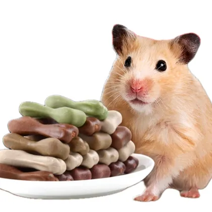 Golden Bear Hamster Molar Stick Snacks & Molar Stone Set - Complete Hamster Supplies