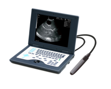 Laptop B/W Ultrasound Imaging System (Am-5800vet)