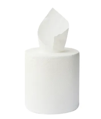 Quilted Paper Towel Roll 2ply