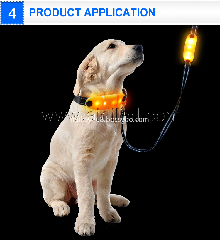 Glowing Dog Lead Glowing Dog Lead