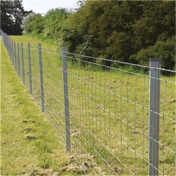 Pôle de clôture de ferme de bétail en métal de haute qualité