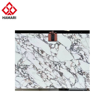 Porcelain Plates and Tiles for Stairs, Walls, Floors, and Television Walls