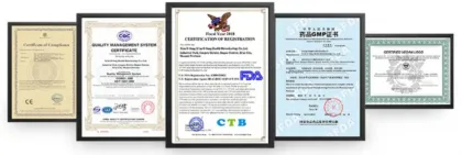 high quality food grade green Papaya concentrated powder