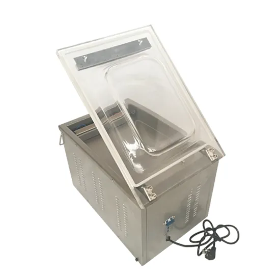 Widely Used Large Storage Tea Bags Vacuum Packing Machine - DZ-260 Plastic Bag Vacuum Seal Packing Machine for Meat