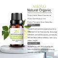 Excelente qualidade 100% Organic Niaouli Essential Oil