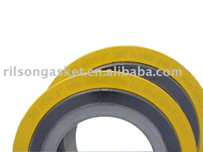 SWG CGI S304 GRAPHITE gasket