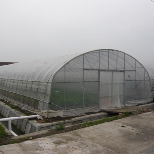 Greenhouse de tunnel à une seule portée