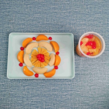 Retail 567g Canned Mixed Fruit in Light Syrup