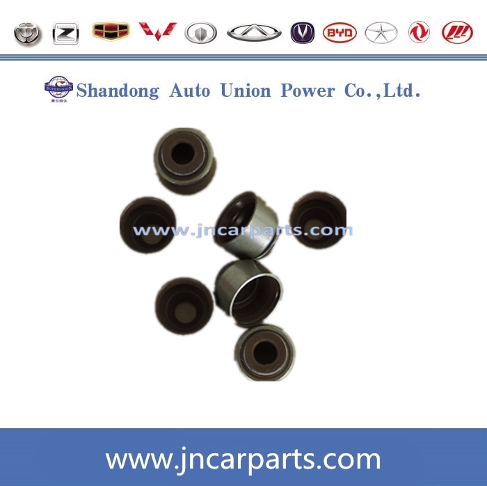 1007100-ED01 Greatwall Hover H5 Valve Oil Seal