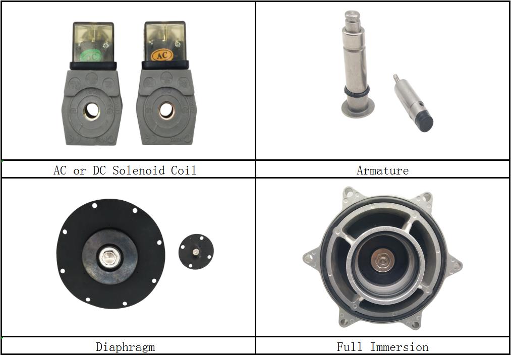 Details ABout CA76MM Electromagentic Pulse Valve: