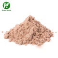 Optimum Nutritional Whey Protein Powder