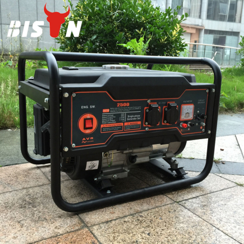 BISON(CHINA) Home Electric Power Generator Price List Factory Directly Offer Home Generator Price List