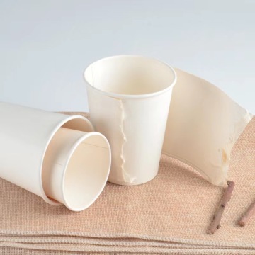 12oz Insulated Disposable Paper Cups