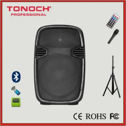 EN15AU Pro Audio Active Loudspeaker/Speaker Box