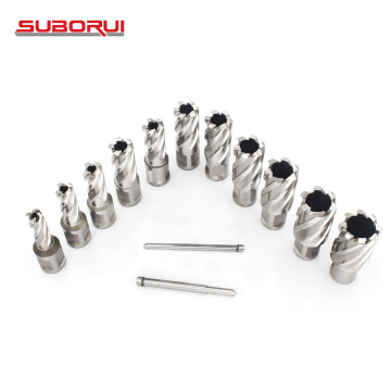 Borui OEM ODM 13pcs HSS Weldon Shank Mag Core Drill Bit Annular Cutter Set for Metal Steel Cutting" 

However, for better SEO and readability, you might consider:

"13pcs HSS Weldon Shank Annular Cutter Set for Metal Steel Cutting - Borui OEM ODM
