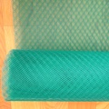 Plastic Stretched Anti Insect Screen Netting