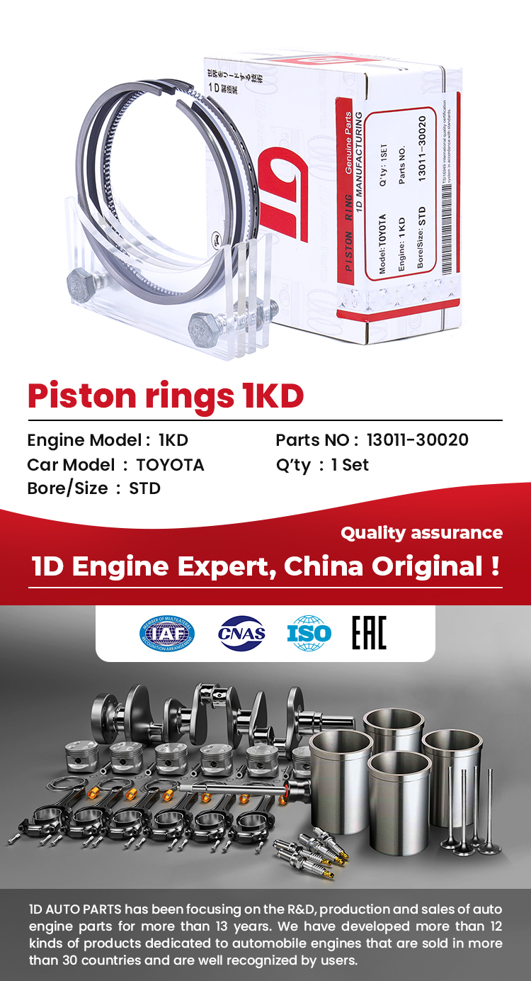 13011-30020 Piston Rings Set