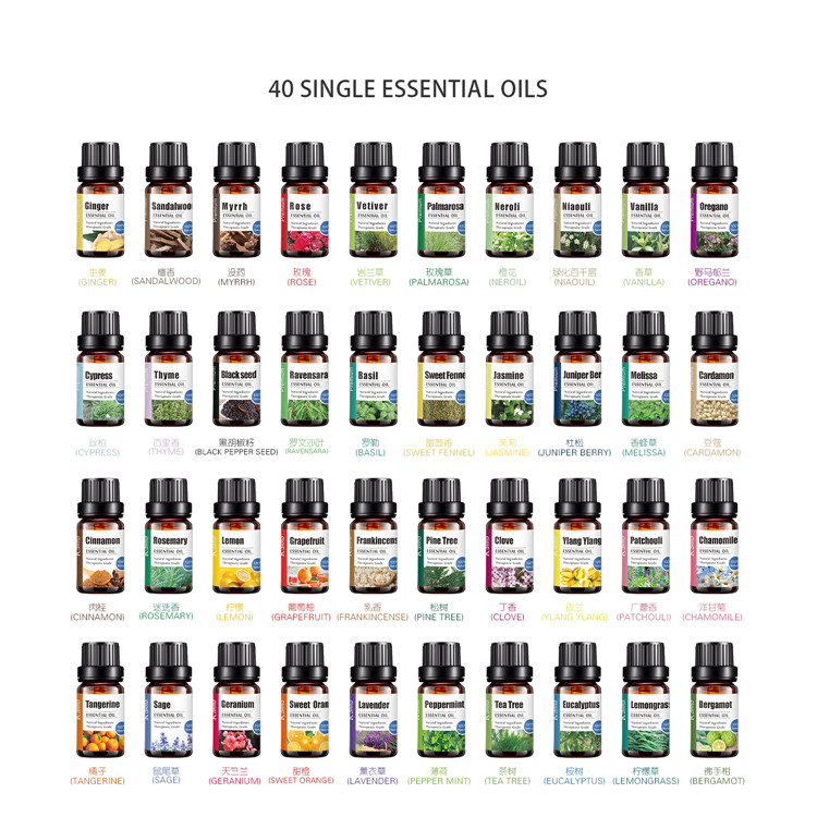 essential oil gift set top 6