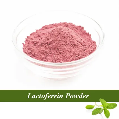 Lactoferrin powder for sale