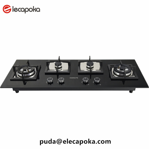 delicate appearance home gas stove price