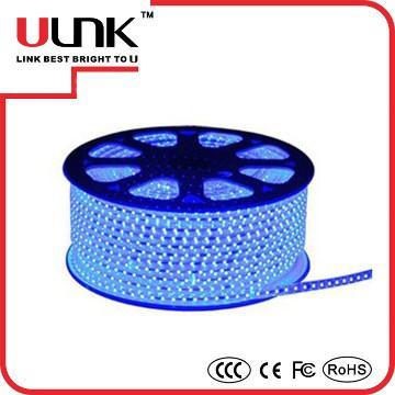 Zhongshan Ulink lighting YLF153 Led 5050 Strip Light