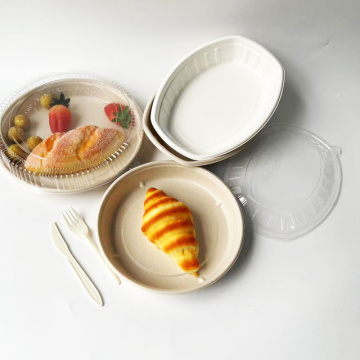 Round bakery tray bagasse takeaway bakery tray