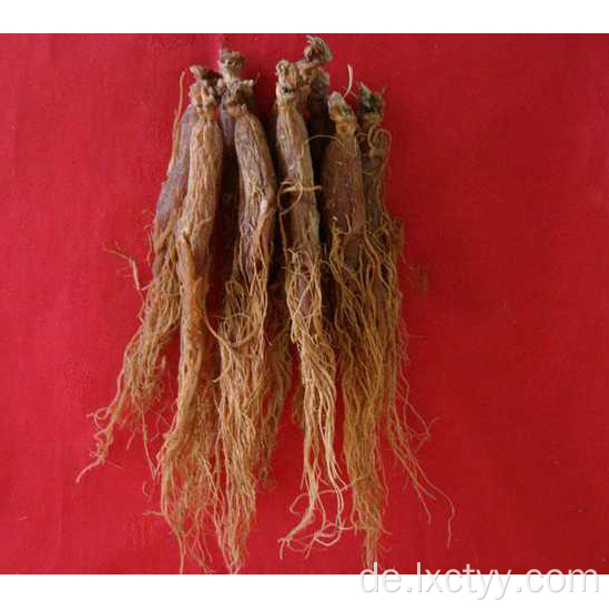 roter koreanischer Ginseng-Extrakt