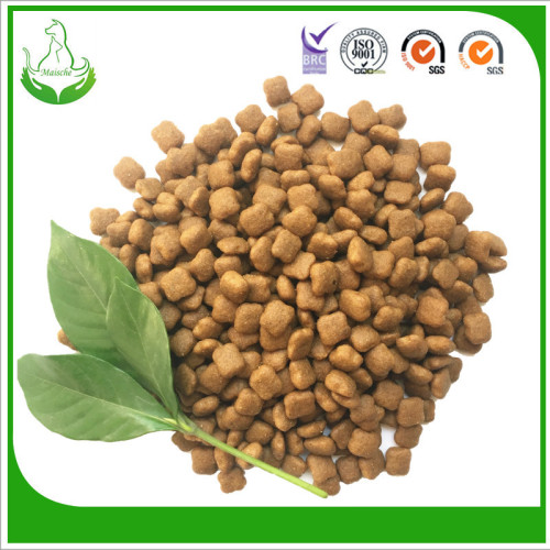healthiest natural dog food recipes