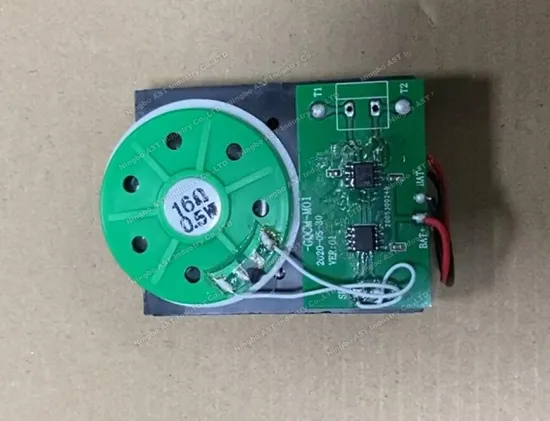 touch toy sound module