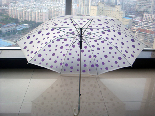 umbrella with dot