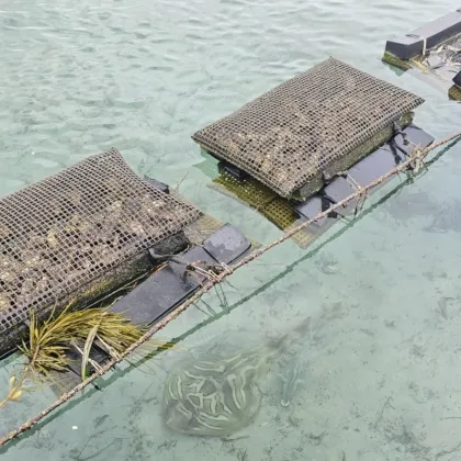 Oyster culture equipment Professional oyster farming bag