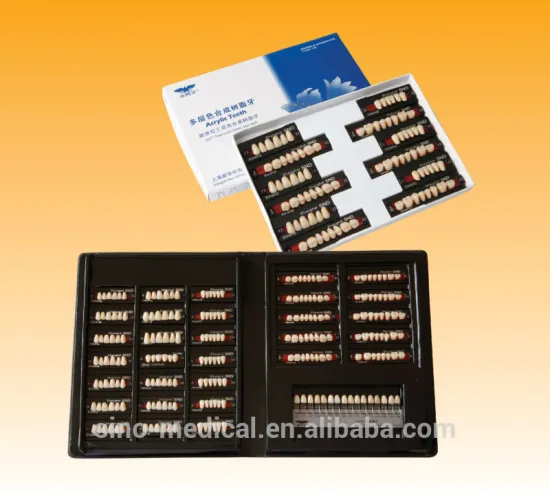 Three-layer Synthetic Teeth