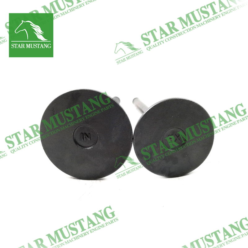TD42 Engine Valve for Nissan Diesel Machinery Parts