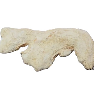 GEKO Food Bulk Dried Indian Ginger for Kitchen Seasoning
