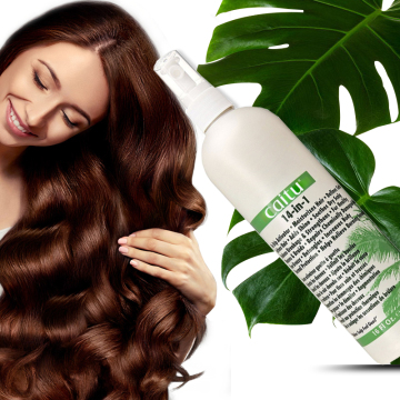 Silkening Mist Hair Spray: Shine and Protection for Smooth Hair