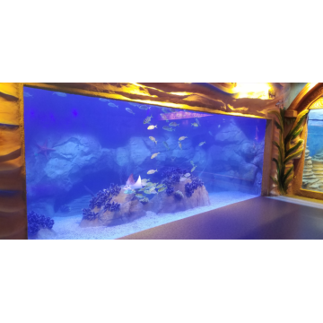Krökt oceanarium akvariumtank akrylglas tunnel