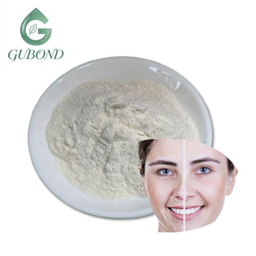 مسحوق إكتوين الأبيض لتطبيقات المكملات الغذائية