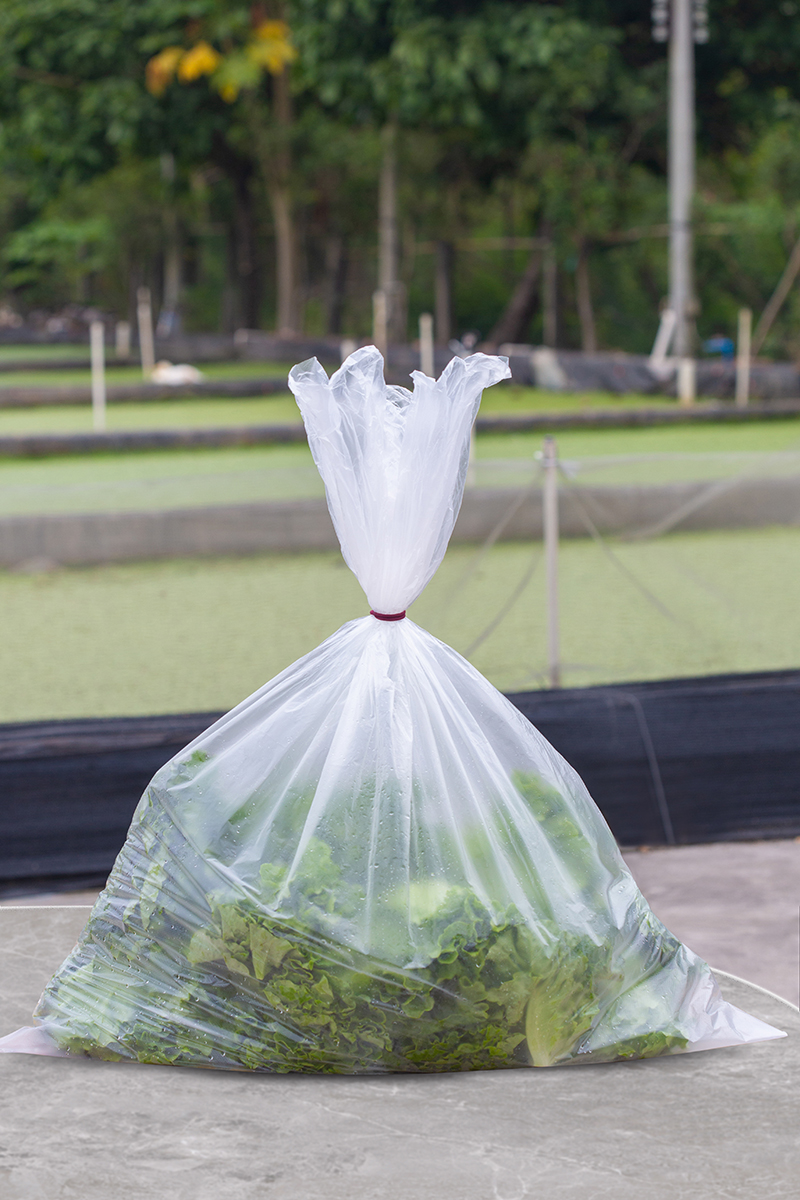 Disposable Fresh Food Storage Plastic Flat Bag