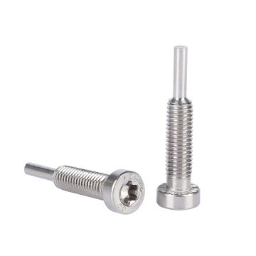 Направляющий винт с внутренним шестигранником из нержавеющей стали