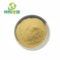 Olive Extract Powder Oleuropein 20%