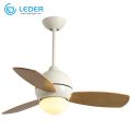 Ventilatori da soffitto elettrici LEDER Cool