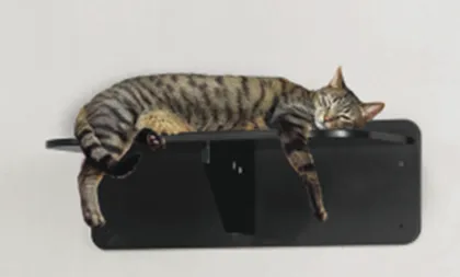 Novel Design Cat Wall Shelf-Single Step