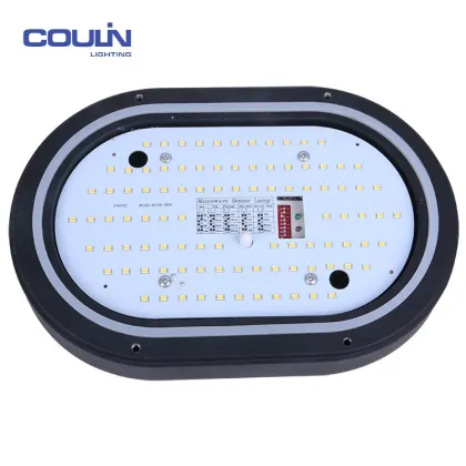 Chinese Supplier Cheap Price Led Wall Lights Outdoor