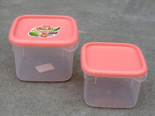 Food Container Set (ZYCR2007)