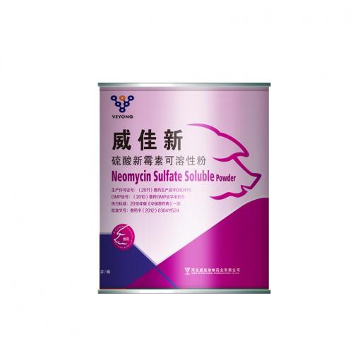 Neomycin Sulfate Soluble Powder for Animals