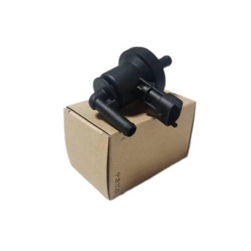 Nieuwe auto -onderdelen Purge Solenoïde klep voor Hyundai Kia Rio -auto's