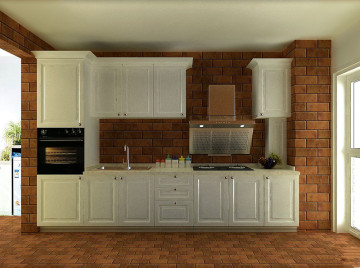 Economical and Practical Modular Kitchen Cabinet (Br p-1228)