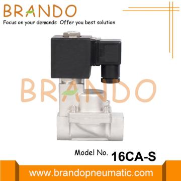 Buhar Solenoid Valfı Normalde Kapalı 24 220 Volt