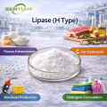 Food Grade Lipase Enzyme Powder